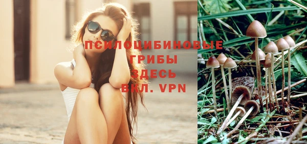 Альфа ПВП Арсеньев
