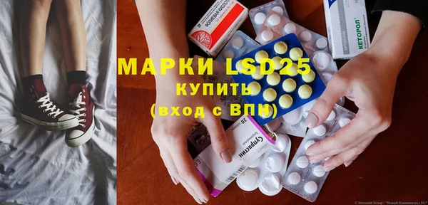 ГАЛЛЮЦИНОГЕННЫЕ ГРИБЫ Слюдянка
