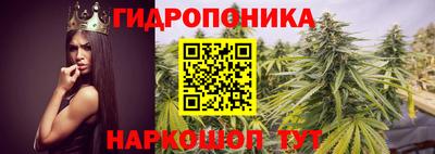 каннабис Шахты