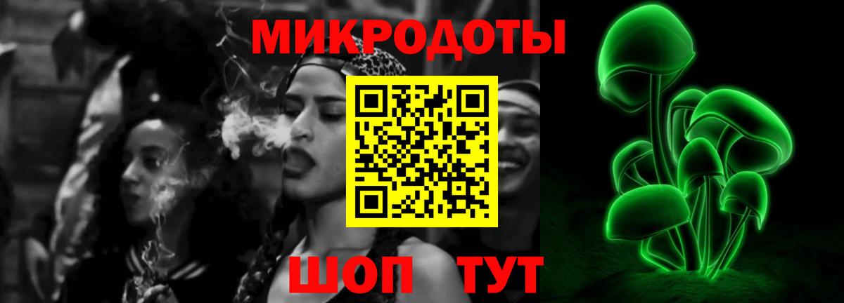 магазин продажи наркотиков  Вход с VPN  Аша  Псилоцибиновые грибы Psilocybine cubensis 