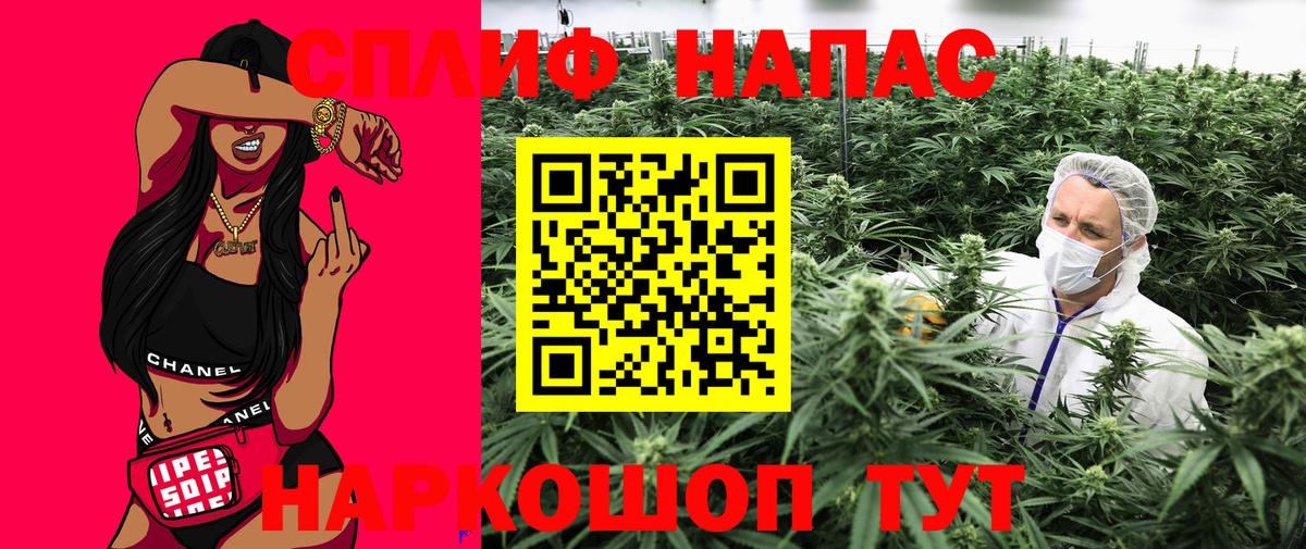 Бошки марихуана гибрид  МАРИХУАНА AK-47  Марихуана THC 21%  Вход с VPN  Аша 